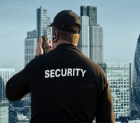 La seguridad privada en España: actualidad