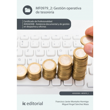 Gestión operativa de tesorería. ADGG0308 