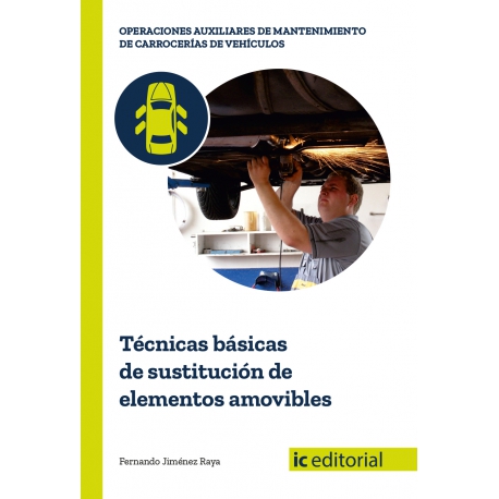 Técnicas básicas de sustitución de elementos amovibles MF0621_1